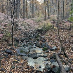 Brandywine Creek State Park