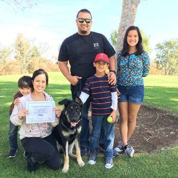Wise Dog Training - Sweet Koda finished the Good Manners Program!! Congrats Koda!! 3 - Pet Training Near Me Wise Dog Training - Sweet Koda finished the Good Manners Program!! Congrats Koda!! 3 - Pet Training Near Me
