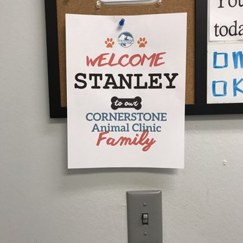 Cornerstone Animal Clinic - Veterinarians Near Me - Dallas, Texas Cornerstone Animal Clinic - Veterinarians Near Me - Dallas, Texas