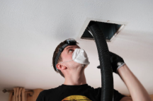 Clean Air Plus - mold inspector in Louisville, KY