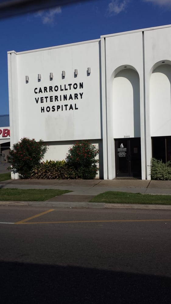 CARROLLTON VETERINARY HOSPITAL Updated June 2024 20 Reviews 3501
