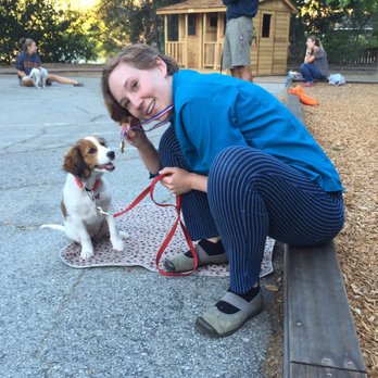 Dog Days - Pet Training Near Me