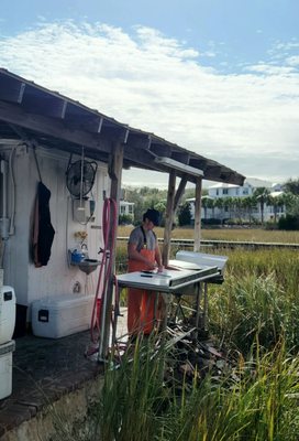 Abundant Seafood by null