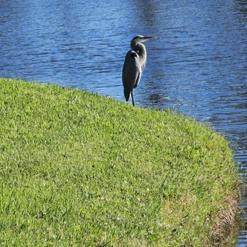 The Yards - Golf Near Me - Ponte Vedra Beach, Florida The Yards - Golf Near Me - Ponte Vedra Beach, Florida