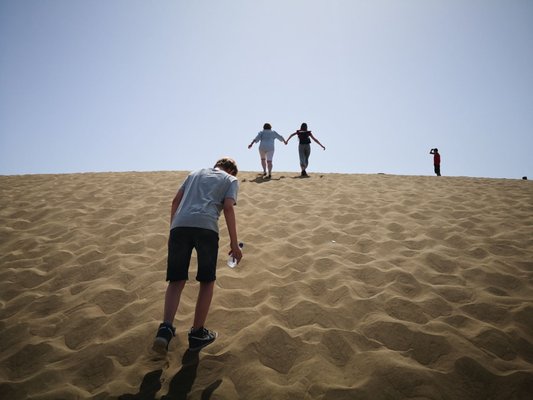 Dunas de Maspalomas by null