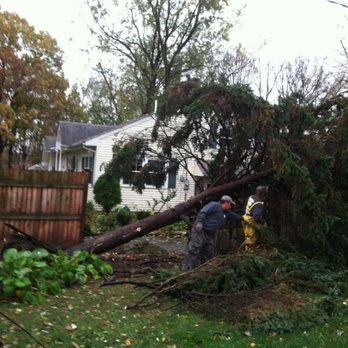 Young's Tree Service - Snow Removal Near Me