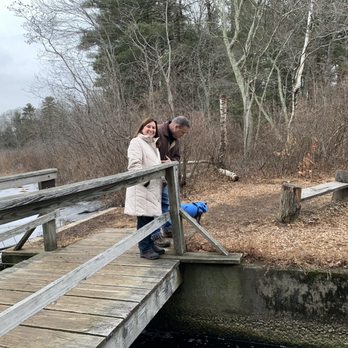 Mass Audubon - Stony Brook - Education Near Me - Norfolk, Massachusetts Mass Audubon - Stony Brook - Education Near Me - Norfolk, Massachusetts