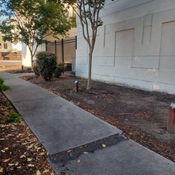 Hayward City Hall - Hayward fault