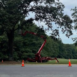 D&A Tree Surgeons - We offer professional private facility tree removal in the Spartanburg area.