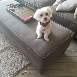 She is happy to pose.