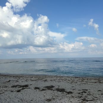 Brohard Paw Park & Beach - Dog Parks Near Me - Venice, Florida