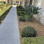 Photo of L&E Landscape Solutions