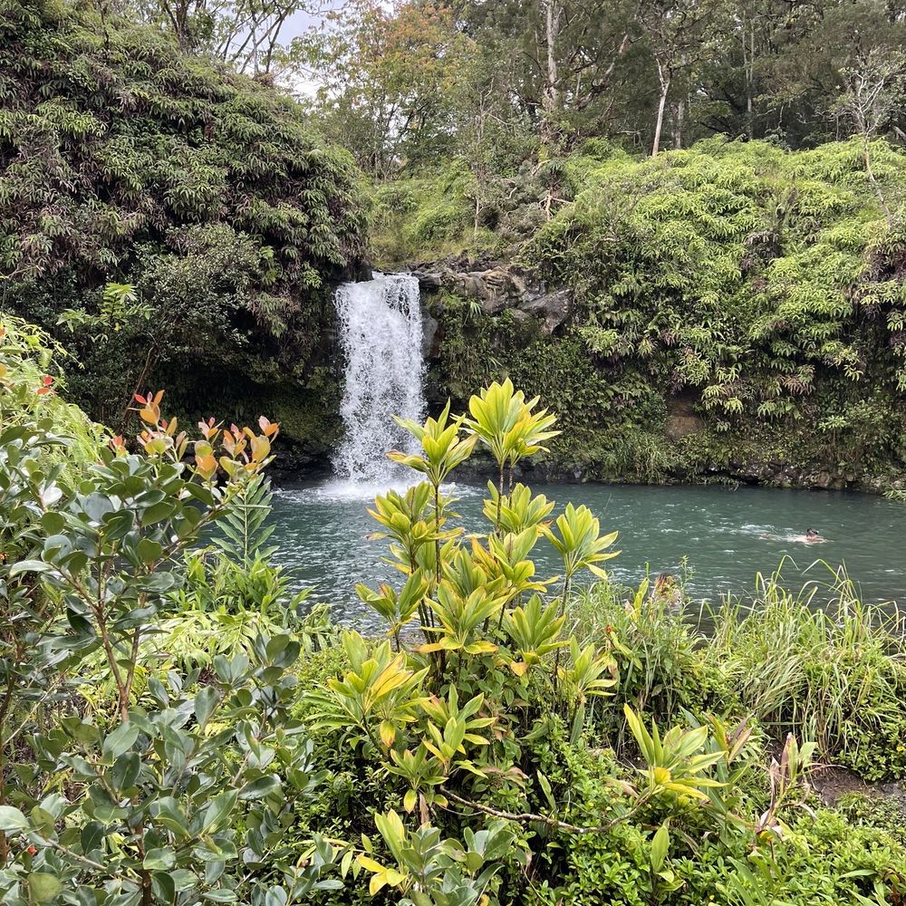 Valley Isle Excursions - One of many waterfalls - Historical Tours Near Me - Wailuku, Hawaii