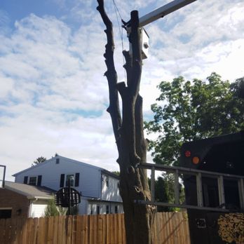 Ruby's Tree Service - Tree Services Near Me - Lansing, Michigan