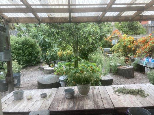 Children's Sunflower House & Garden by null