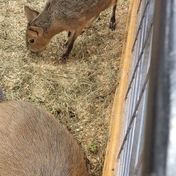 Sustainable Safari - Petting Zoos Near Me - Maplewood, Minnesota Sustainable Safari - Petting Zoos Near Me - Maplewood, Minnesota