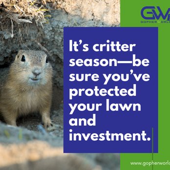 Gopher World - Pest Control Near Me - Lafayette, California