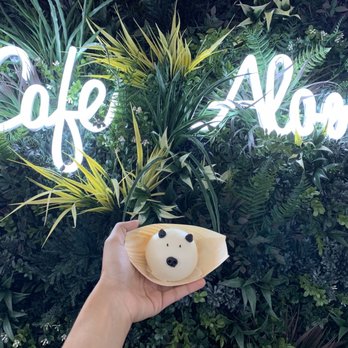 Cafe Aloe - Custard Piggy Bun - Cafes Near Me - Bellevue, Washington