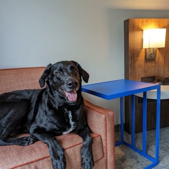 Hampton Inn & Suites Abilene I-20 - Pet friendly - Hotels Near Me - Abilene, Texas Hampton Inn & Suites Abilene I-20 - Pet friendly - Hotels Near Me - Abilene, Texas