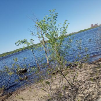 Bate Island - Parks Near Me - Ottawa, Ontario Bate Island - Parks Near Me - Ottawa, Ontario