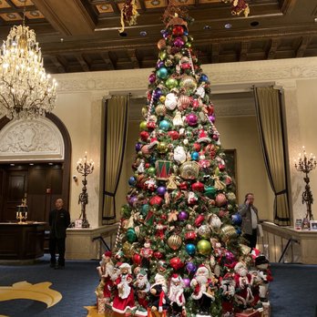 The Drake - Gorgeous tree sharing the Xmas spirit - Hotels Near Me - Chicago, Illinois The Drake - Gorgeous tree sharing the Xmas spirit - Hotels Near Me - Chicago, Illinois