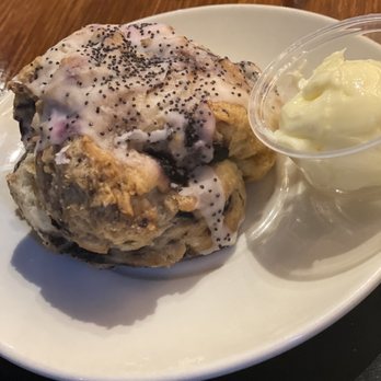 Redwood Cafe - Blueberry Poppyseed Scone - American Near Me - Cotati, California