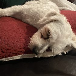 Rest well. When you wake up, we're going to love you all over again tomorrow