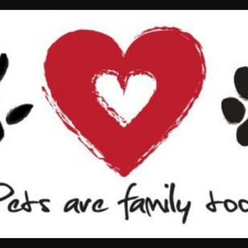 Pets Without Borders - What we believe! - Dog Walkers Near Me Pets Without Borders - What we believe! - Dog Walkers Near Me
