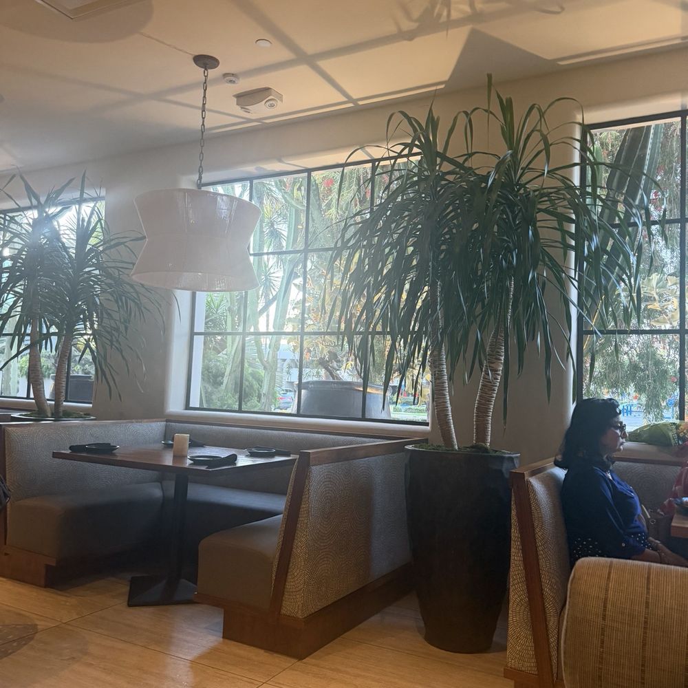 SOL Mexican Cocina - Mexican Near Me - Irvine, California SOL Mexican Cocina - Mexican Near Me - Irvine, California