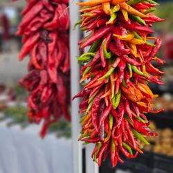 Taos Farmers Market