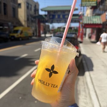Molly Tea - Bubble Tea Near Me - Chicago, Illinois Molly Tea - Bubble Tea Near Me - Chicago, Illinois