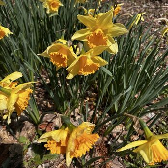 Deep Cut Gardens - Botanical Gardens Near Me - Middletown, New Jersey