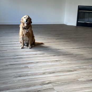 Floors To Go Fairfield - He approves! - Flooring Near Me - Fairfield, California