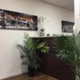 Photo of Mira Tax Solutions