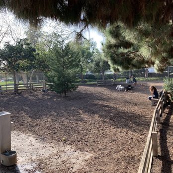 Airport Park - Dog Parks Near Me - Santa Monica, California Airport Park - Dog Parks Near Me - Santa Monica, California