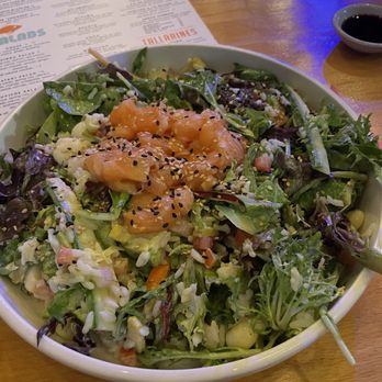 SuViche - Sushi and Ceviche - SuViche Salad with salmon - Sushi Bars Near Me - Miami, Florida SuViche - Sushi and Ceviche - SuViche Salad with salmon - Sushi Bars Near Me - Miami, Florida