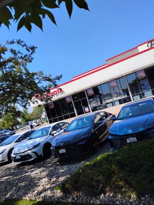 Pedersen Toyota