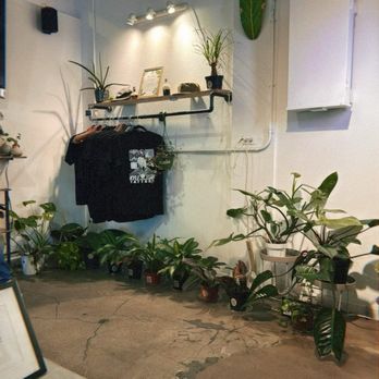 InBloom Tattoo and Piercing  - Plant shop inside tattoo/piercing shop - Tattoo Near Me - Tracy, California