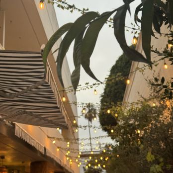 Sogno Toscano - Wine Bars Near Me - Santa Monica, California Sogno Toscano - Wine Bars Near Me - Santa Monica, California