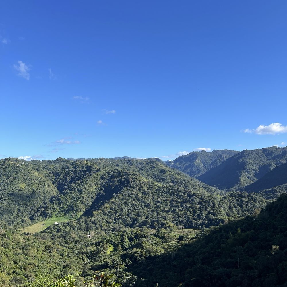 Casa Vieja - Bars Near Me - Ciales, Puerto Rico Casa Vieja - Bars Near Me - Ciales, Puerto Rico