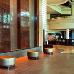 Sheraton Tampa Brandon Hotel - Lobby