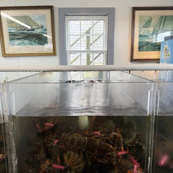 Sayle's Seafood - Inside - Lobster Tank - Seafood Markets Near Me - Nantucket, Massachusetts