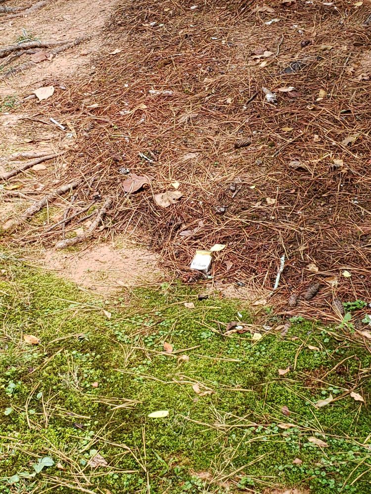 Slide of Elite Roofing and Restoration