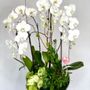 Photo of Floral & Events By Sammy