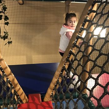 Safari Run - Party & Event Planning Near Me - Sunnyvale, California Safari Run - Party & Event Planning Near Me - Sunnyvale, California