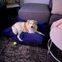 Majestic Pet Products