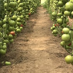 K & J Farm Market