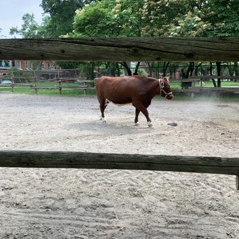 Riverdale Farm - Zoos Near Me - Toronto, Ontario Riverdale Farm - Zoos Near Me - Toronto, Ontario