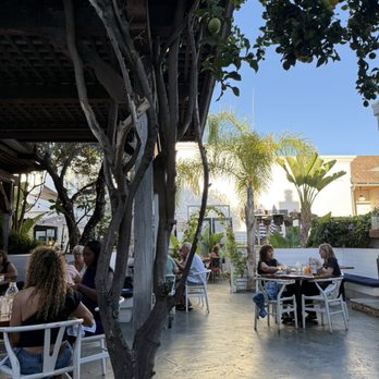 Rumfish y Vino - Ambiance - Gastropubs Near Me - Ventura, California Rumfish y Vino - Ambiance - Gastropubs Near Me - Ventura, California