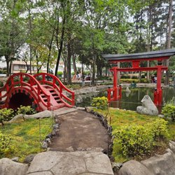 Parque Masayoshi Ahira - Puente y torii en el parque masayoshi ohira